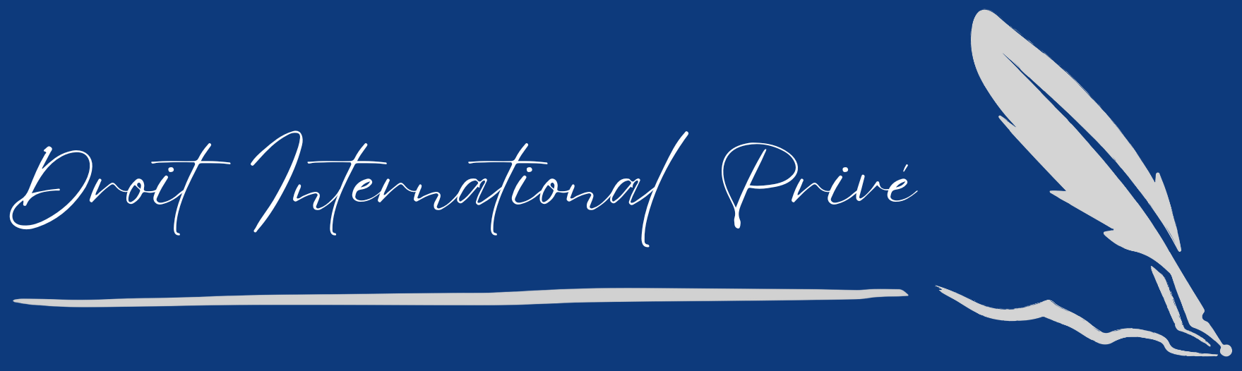Bannière de la page droit international privé